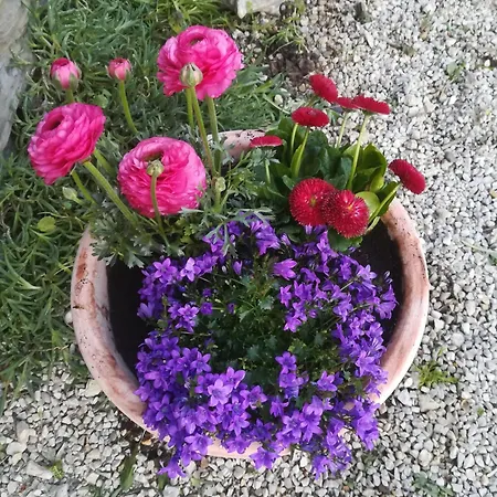 Ferme De La Motte Bed & Breakfast *