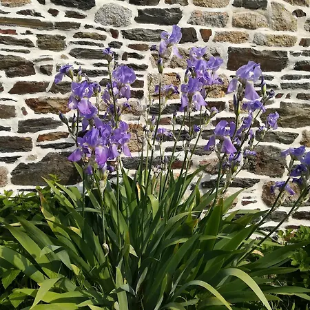 Ferme De La Motte 3*