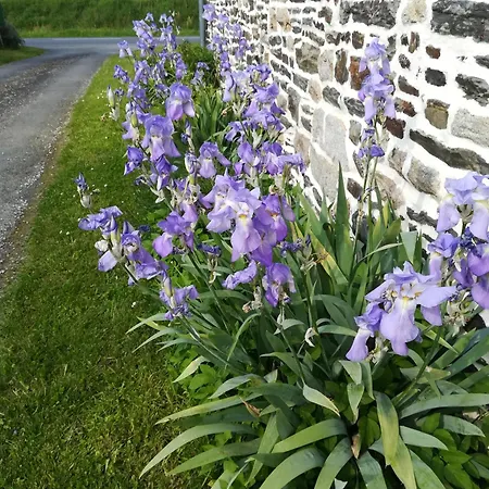 Ferme De La Motte Le Mesnil-Gilbert