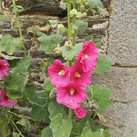 Ferme De La Motte 3*