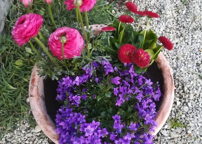 Ferme De La Motte Couette-café 3*